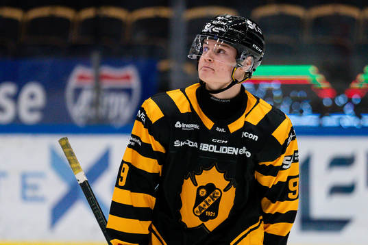 Skellefteås Theo Keilin deppar