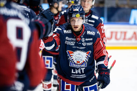 Linköpings Sebastian Strandberg jublar