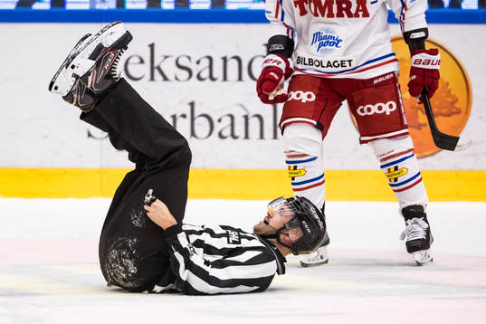 Domare Peter Almerstedt