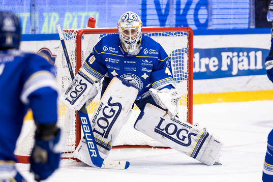 Leksands målvakt Mantas Armalis