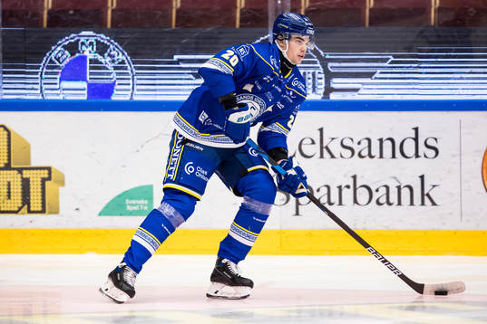 Leksands Lian Bichsel