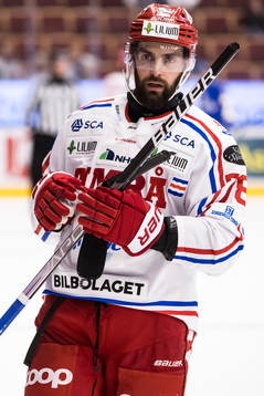 Timrås Robin Hanzl