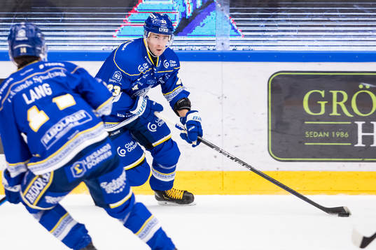 Leksands Mikael Ruohomaa