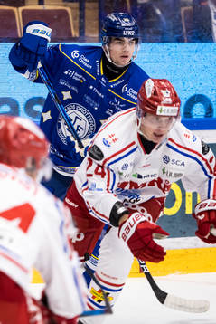 Leksands Lian Bichsel