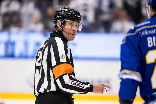 Domare Richard Magnusson