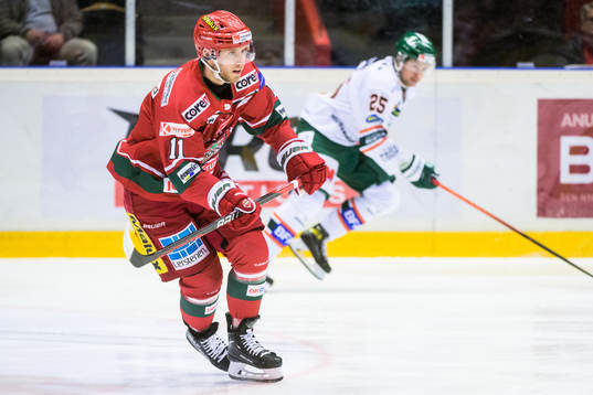Bläddra bland fler bilder av Ishockey, Hockeyallsvenskan, Modo - Kristianstad