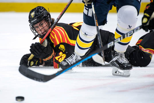 Brynäs Moa Wernblom