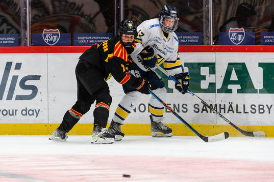 Brynäs Maja Nylen-Persson och HV71s Danielle Stone