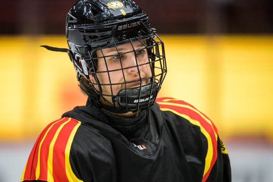Brynäs Savine Wielenga deppar