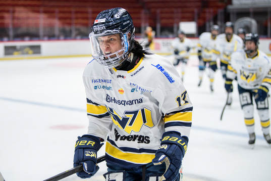 HV71s Danielle Stone jublar