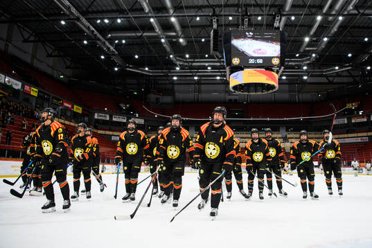 Brynäs spelare jublar