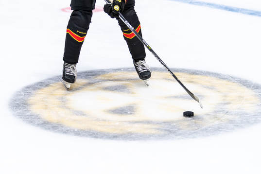Brynässpelares skridskor