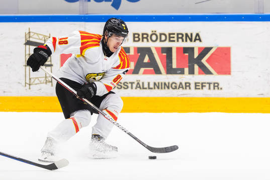 Brynäs Dmytro Timashov
