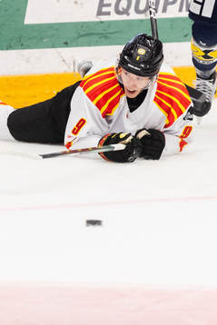 Brynäs William Strömgren