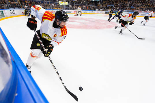 Brynäs Anton Rödin