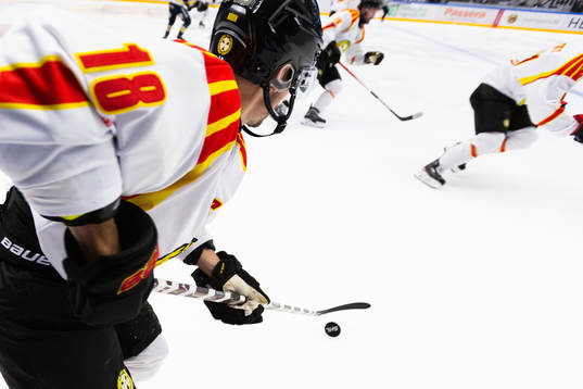 Brynäs Anton Rödin