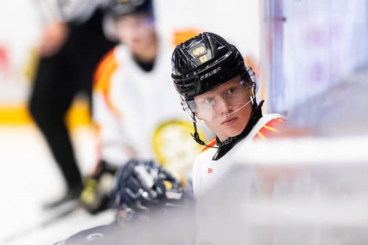 Brynäs Julius Bergman