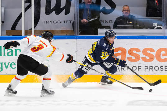 Brynäs Niklas Friman och HV71s André Petersson