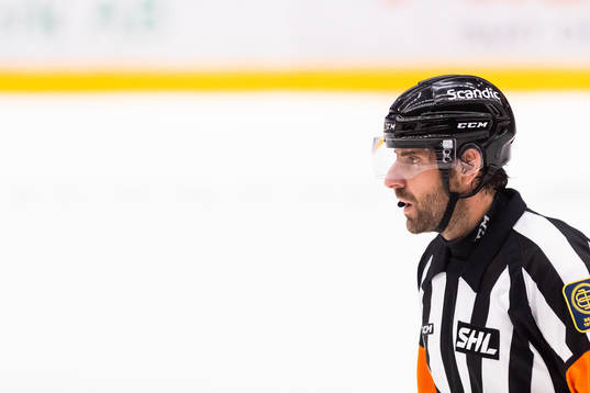 Domare Mikael Sjöqvist