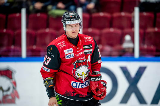 Malmö Redhawks Fredrik Händemark grinar illa