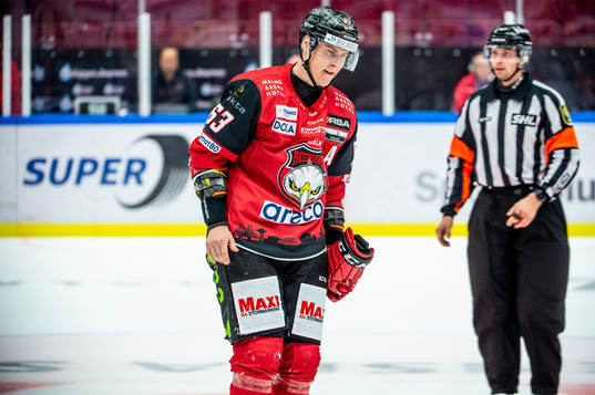 Malmö Redhawks Fredrik Händemark grinar illa