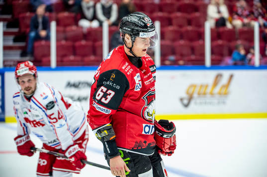 Malmö Redhawks Fredrik Händemark grinar illa