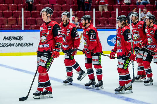 Malmö Redhawks spelare deppar