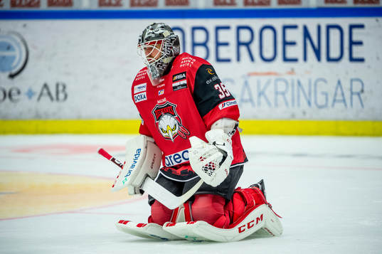 Malmö Redhawks målvakt Adam Werner deppar