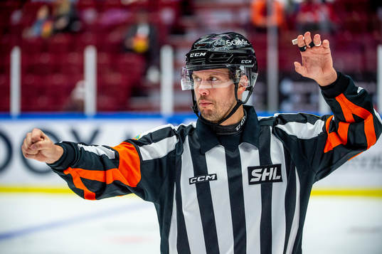 Domare Johan Magnusson
