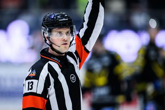 Domare Stefan Johansson