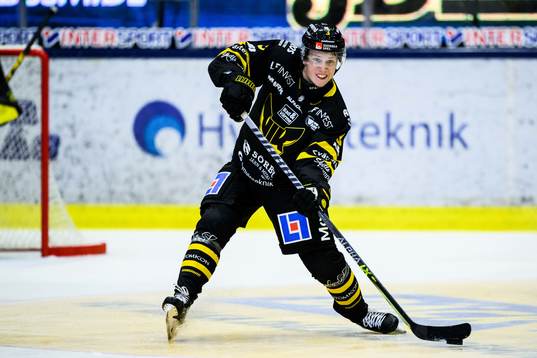 Västerås Ludvig Östman