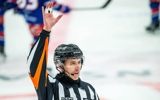 Domare Linus Öhlund