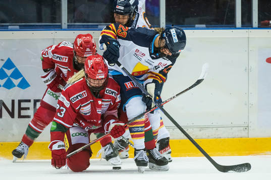 under ishockeymatchen i SDHL mellan Modo och Djurgården