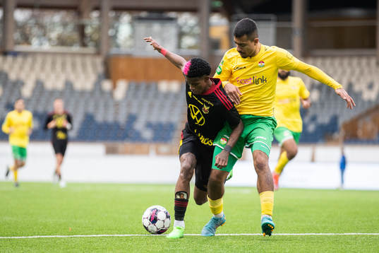 Östersunds Chovanie Amatkarijo och Dalkurds Arash