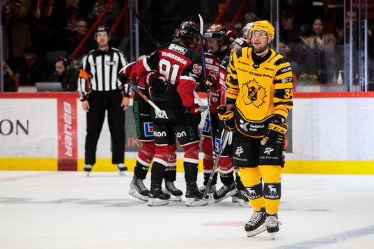 Skellefteås Tom Kühnhackl deppar