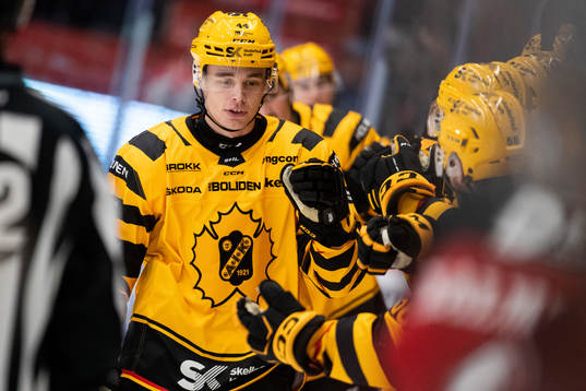 Skellefteås Elias Salomonsson jublar