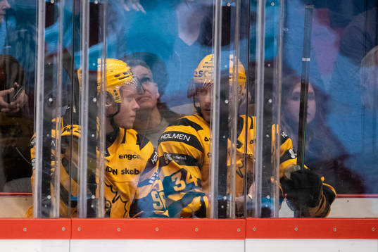 Skellefteås Rickard Hugg och Tom Kühnhackl i
