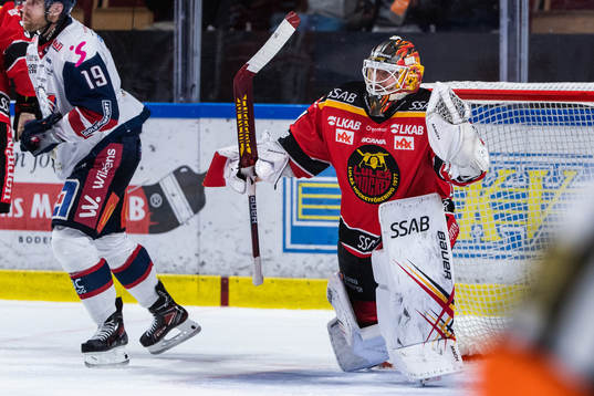 Luleås målvakt Joel Lassinantti jublar