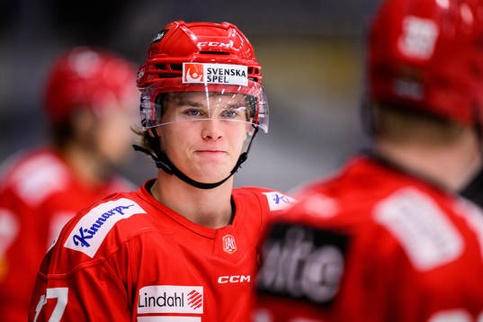 Almtunas Valdemar Johansson