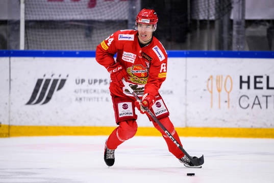 Almtunas Anton Brandhammar