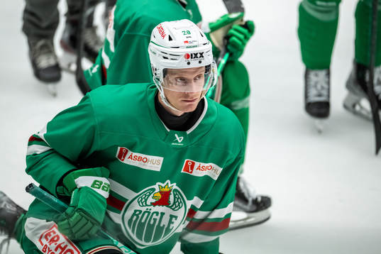 Anton Bengtsson