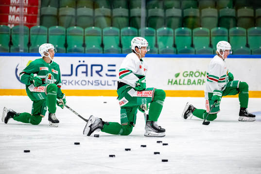 Samuel Jonsson, Adam Tambellini  och Theodor Niederbach