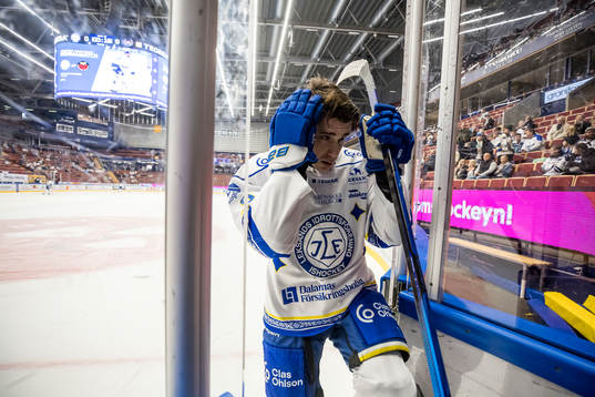 Leksands Matt Caito
