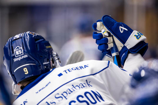 Leksands handske