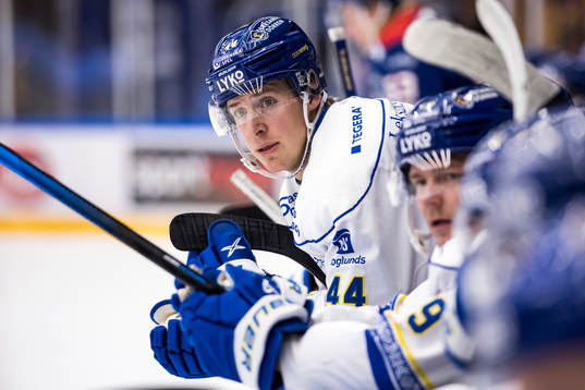 Leksands Carter Ashton