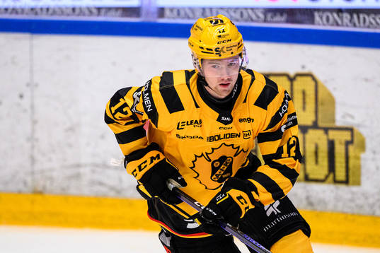 Skellefteås Max Johansson