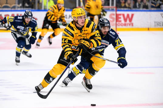 Skellefteås Elias Salomonsson och HV71s Tyler Vesel