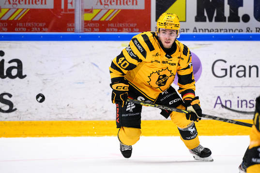 Skellefteås Andreas Wingerli