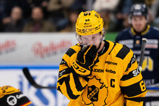 Skellefteås Jonathan Pudas deppar