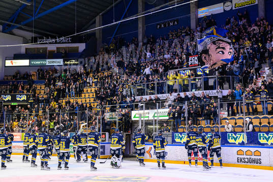 HV71s spelare jublar